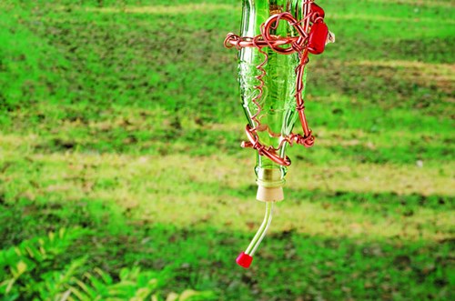 4) Glass Bottle