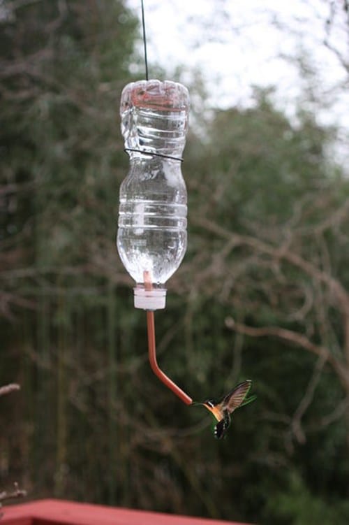 The Best Hummingbird Feeders To Make Your Own Diy