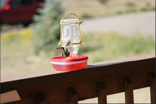 9) Water Sports Drink Bottle